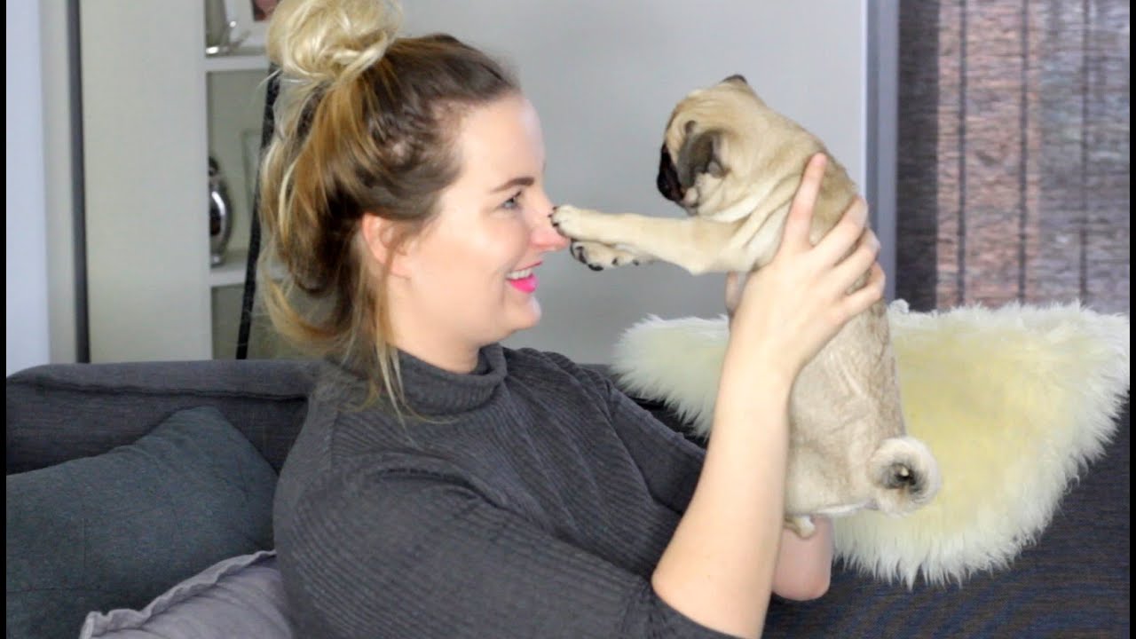 10 BIZARRE FEITJES OVER PIP!