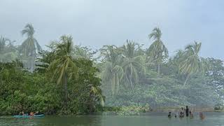 Vocoliine - Guitar Pool Fml Version