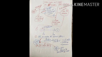 M.A. 4th Sem. History"Pitt