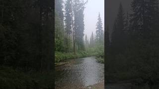 рыбалка на хариуса на Сибирской таёжной речке