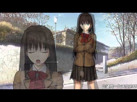 【自製MAD】魔法使いの夜 - 推廣 蒼崎青子 聲線影片(中文字幕 完成版)