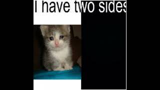 Two Sides : Sad Cat