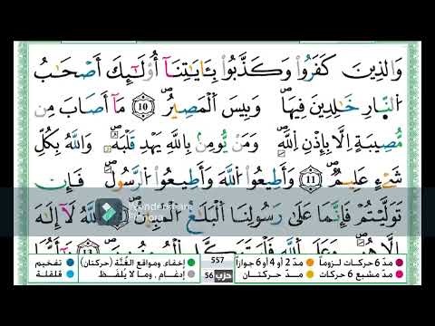 سورة التغابن مكررة اية باية للحفظ تلاوة حمزة الجزائري رواية ورش عن نافع