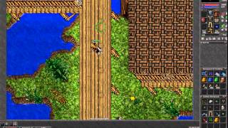 Tibia by; Biel - Boss Snapper, Deathbine, Hide, The Bloodtusk (Sem Audio)