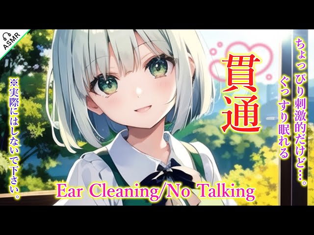 【ASMR/No Talking】眠くなる貫通耳かきをします！(綿棒・睡眠導入)【Zoom H5】Ear Cleaning