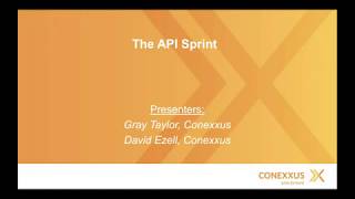 Webinar_Progress in the API Sprint