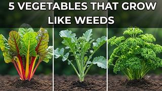 The Lazy Gardener's Secret: 5 Vegetables That Practically Grow Themselves