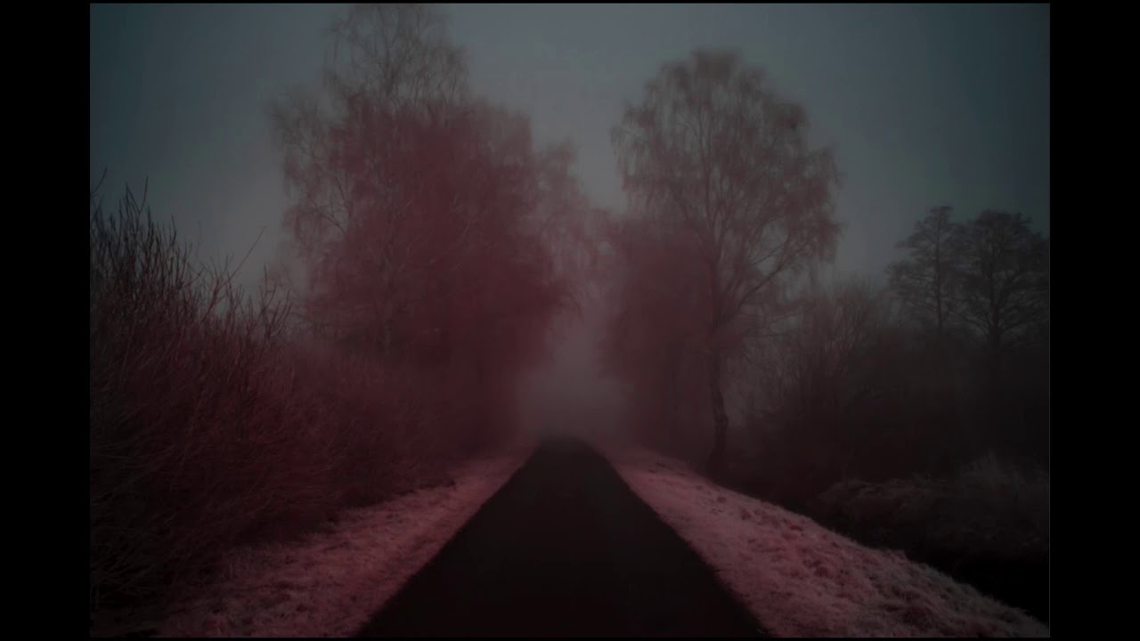 Brian Grainger - Cold Roads II (The Endless Sleep) - Organic-Industries 019