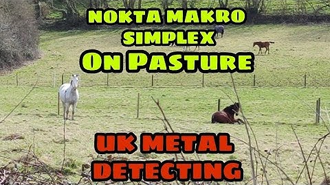 UK METAL DETECTING WITH THE NOKTA MAKRO SIMPLEX.