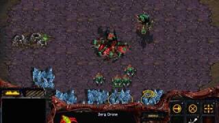 Starcraft Worker Splits - Low Money and Fastest