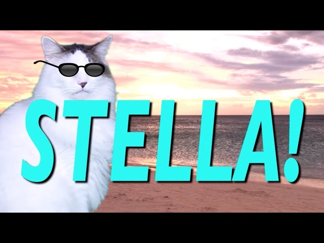HAPPY BIRTHDAY STELLA! - EPIC CAT Happy Birthday Song