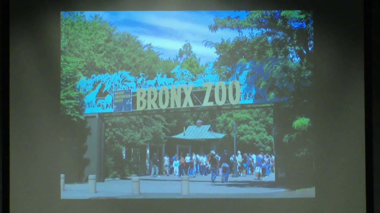 Chikungunya, West Nile, and Zika, oh my! Emerging zoonotic viruses and the concept of One Health