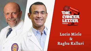 Two Gulf Coast cancer center directors on why NCI designation matters—and why they want it