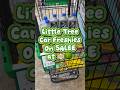 🍉Car freshies on SALE?! Say LESS👀🤭🥳🏃🏻‍♀️‍➡️ #dealalert #save #onthego #sale