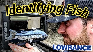 How To Identify Different Fish On Your Electronics