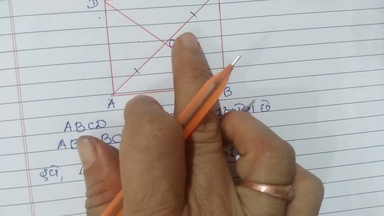  Assignment  solution Standard 9 maths chapter 8