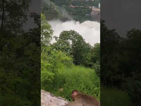 srisailam dam🤩