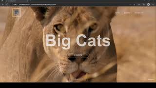 L.L.C Big Cats | Web Application | By Me screenshot 4