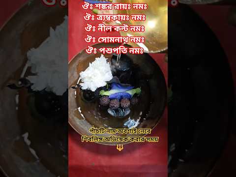 শিবলিঙ্গে জল ঢালার সময় পাঁচটি নাম অবশ্যই নেবে 🔱