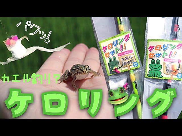 のーか 【ケロリング】カエルを釣る？今日の武器はカエルアー - YouTube