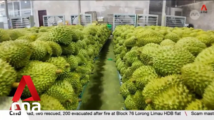 Why aren't Vietnamese durian farmers happy even though demand from China keeps rising? - DayDayNews