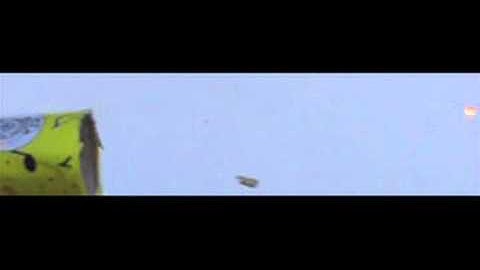 Slow Motion - Champagne Party Popper at 1000fps