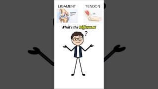 Ligament vs Tendon 🤯 #youtubeshorts #youtube #doctor