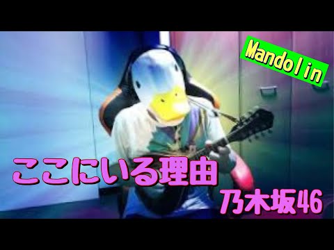 【36曲目】乃木坂46『ここにいる理由』