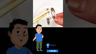 Genius Life Hacks You Won't Believe Actually Work!