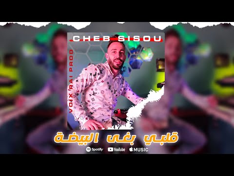 Cheb Sisou 2025 قلبي بغى البيضة Galbi Bgha Bayda Exclusive By Voix Rai Prod 