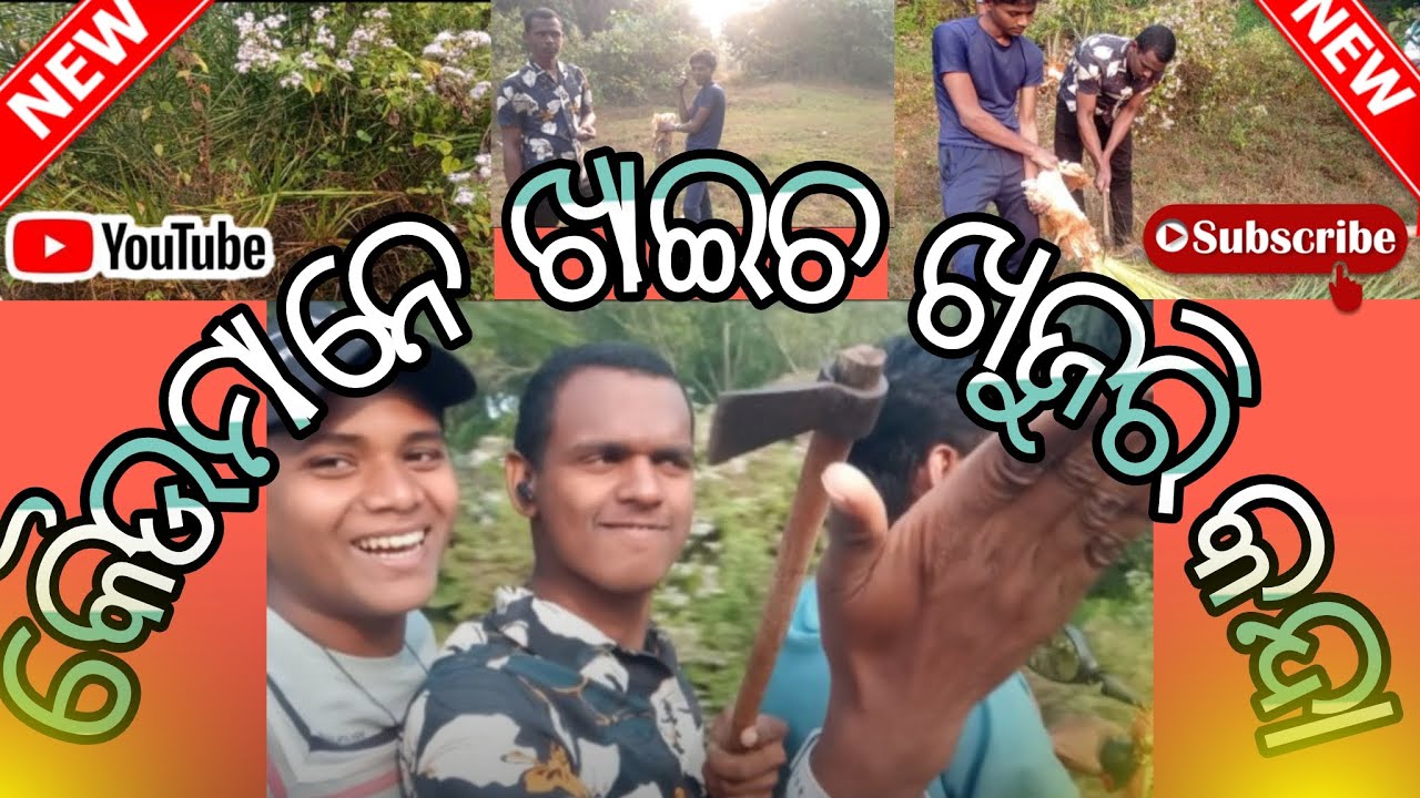 ll କିଏ ଖାଇବ ଖଜୁରି କନ୍ଦା 🤭 ll KIA KHAIBA KHAJURI KANDA 🌲ll