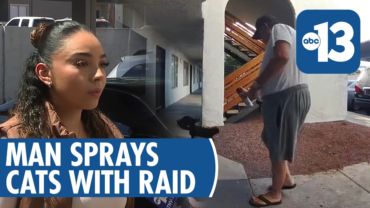 Man caught on camera spraying cats with Raid in Las Vegas: 'I got ...