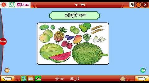 Class Three Science Pat- 7// তৃতীয় শ্রেণি সাধারণ বিজ্ঞান অধ্যায়-7