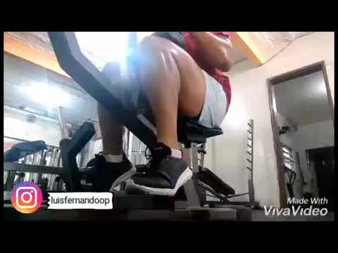 Treino #musculacao