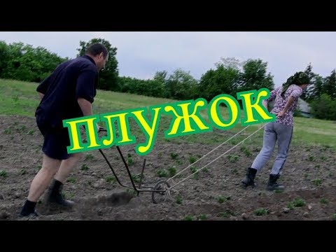 Подгортаем картошку, сельхозработы
