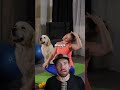 Animal Yoga in Colorado | Kangaroos, Goats, Alpacas & Puppies