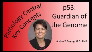 Pathology Central Key Concepts: p53