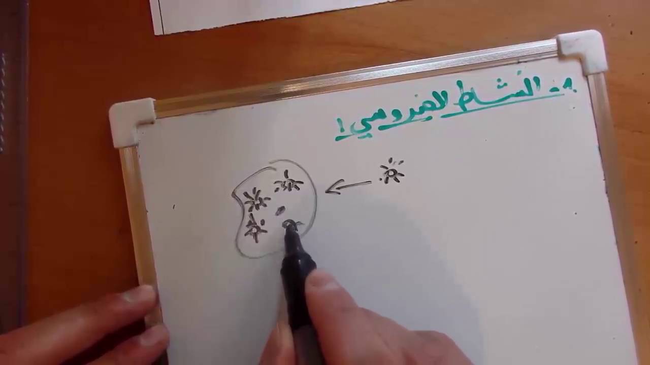 حل تمرين خاص بالمناعة لتحضير شهادة التعليم المتوسط