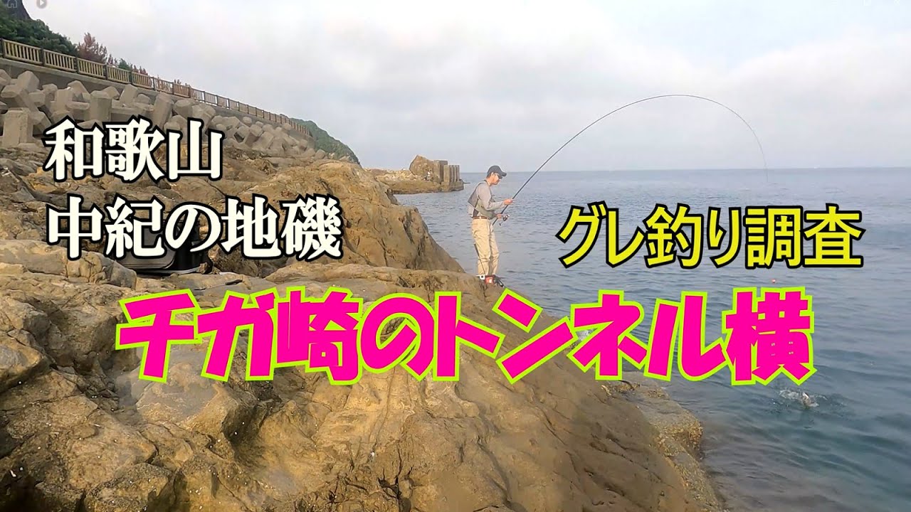 【和歌山釣り】チガ崎の地磯でグレ釣り調査