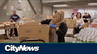 Food bank usages hits a record high