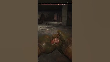 Fighting a Controller Stalker 2