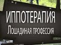 «Иппотерапия – лошадиная профессия»