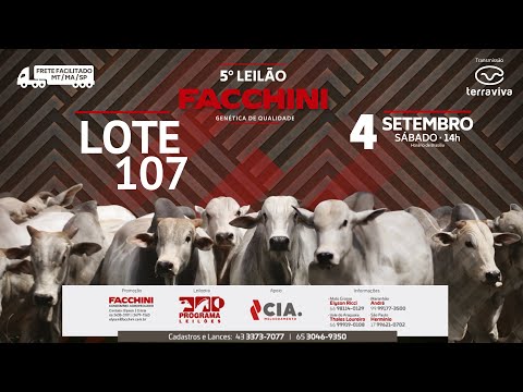 LOTE 107 - 5º LEILÃO FACCHINI 04/09/2021