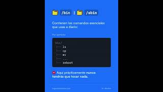 El filesystem de Linux explicado FÁCIL 🫰