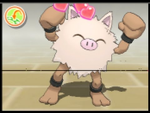 ポケモン サン ムーン マイナーポケモンシングルレート5 オコリザル Youtube