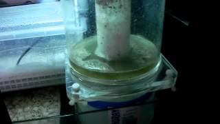 DSCN0141