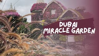 Сад чудес в Дубае Dubai Miracle Garden