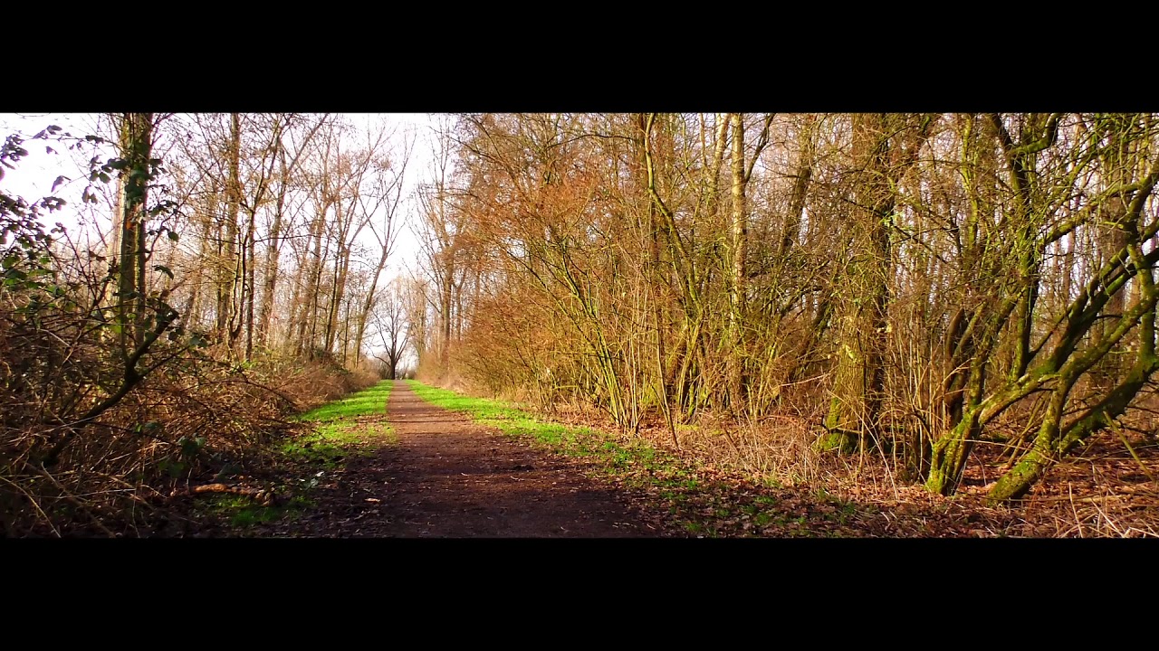 nature revista Van storm naar lente in februari