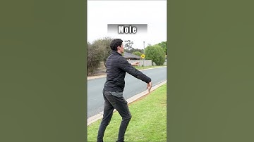 How different animals get over a fence (Compilation)