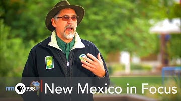 Planting Your Own Trees